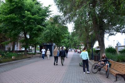 Прикрепленное изображение: DSC_0433.JPG